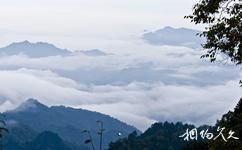陕西长青国家级自然保护区旅游攻略之云海