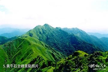 江西九連山國家森林公園-黃牛石主峰照片