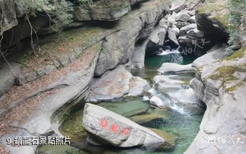 廣元米倉山大峽谷-鎮龍石照片