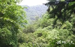 衢州古田山旅游攻略之自然保護區