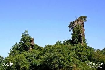 通江唱歌石林景区-石林照片