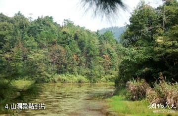 江西九連山國家森林公園-山澗照片