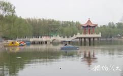 山丹南湖生態植物園旅遊攻略之人工湖