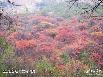 井陘仙台山風景區-仙台紅葉照片