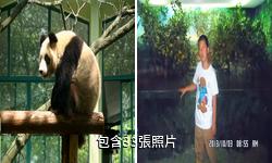 上海動物園驢友相冊