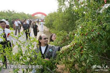 武城金水灣生態園-百果園採摘區照片