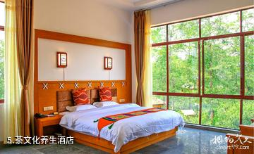 腾冲高黎贡山茶博园景区-茶文化养生酒店照片