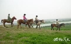 上海共青森林公園旅遊攻略之騎馬場