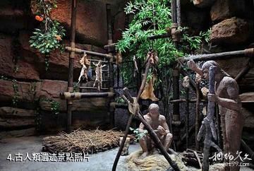 上海游龍石文化科普館-古人類遺迹照片