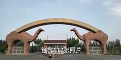 新和沙漠花海景区驴友相册