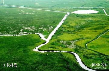 黑龙江挠力河国家级自然保护区-长林岛照片