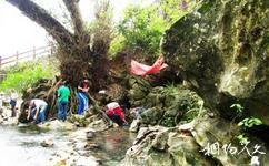 廣西巴馬坡月村百魔洞旅遊攻略之「長壽聖水」