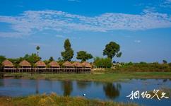 柬埔寨暹粒市旅游攻略之洞里萨湖