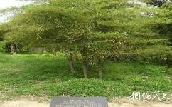 安吉竹子博覽園旅遊攻略之竹種園