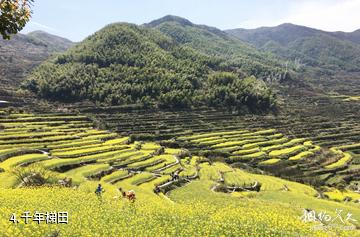 上虞覆卮山景区-千年梯田照片