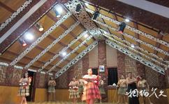 紐西蘭毛利文化村旅遊攻略之毛利人表演