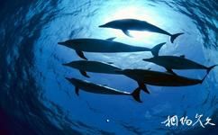 烟台蓬莱海洋极地世界旅游攻略之鲨鱼馆