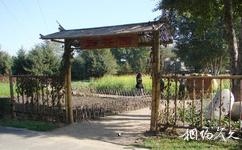 黑龍江省森林植物園旅遊攻略之五穀園