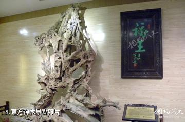 淄博福王紅木博物館-東方神木照片