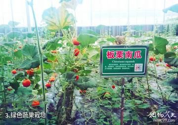 怀化九丰现代农博园-绿色蔬果栽培照片
