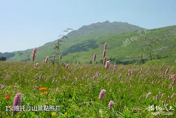 保加利亞索非亞市-維托沙山照片