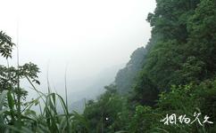 泸州笔架山旅游攻略之风景