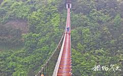 稽東千年香榧林旅遊攻略之索橋