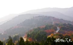 北京西山國家森林公園旅遊攻略之森林