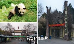 南京红山森林动物园驴友相册