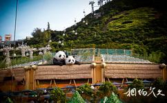 香港海洋公园旅游攻略之亚洲动物天地