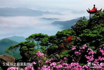 贛州陽嶺國家森林公園-陽嶺之巔照片