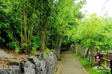 肇庆广宁宝锭山旅游景区-观赏区照片