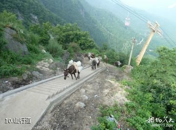 汉中天台森林公园-山行道照片