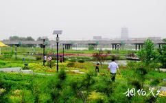 西安灞桥生态湿地公园旅游攻略之百花千树植物园