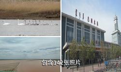 包頭南海濕地景區(qū)驢友相冊