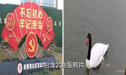 揚州茱萸灣公園驢友相冊