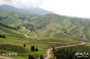 沙湾东大塘风景区-丘陵草原照片