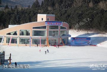 伊春梅花河山庄度假村-梅花山滑雪场照片