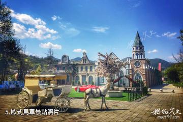 重慶黔江愛莉絲莊園-歐式馬車照片