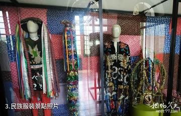 巴西聖路易斯市-民族服裝照片