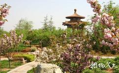洛阳市中国国花园旅游攻略之白居易碑广场