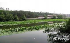 唐山燕東生態觀光園旅遊攻略之金水湖