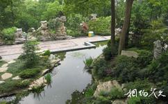重庆南山植物园旅游攻略之中心景观园
