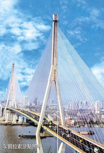 上海楊浦大橋-鋼拉索照片