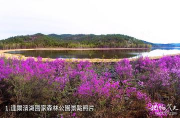 達爾濱湖國家森林公園照片