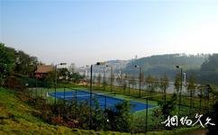 襄阳凤凰温泉旅游攻略之网球场