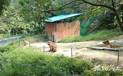 浙江金華動物園旅遊攻略之金華動物園