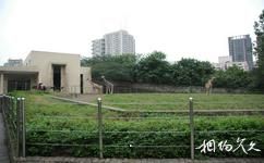 重慶動物園旅遊攻略之長頸鹿館