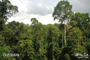加纳阿克拉市-热带雨林照片