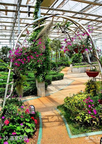 西安沣东现代都市农业博览园-温室花园照片
